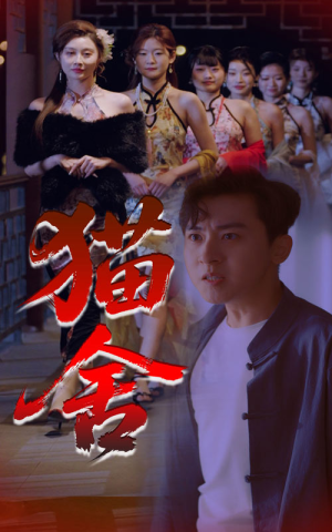 猫舍（34集）精彩短剧合集