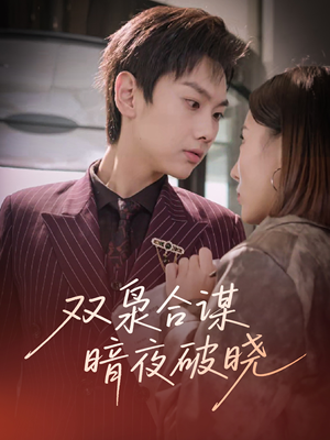 双枭合谋暗夜破晓（30集）短剧全集免费