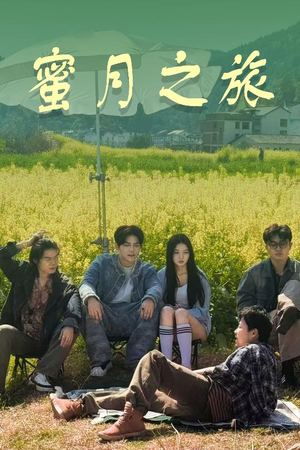 蜜月之旅（35集）全集