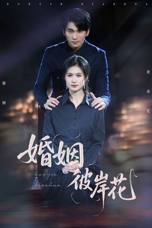 婚姻彼岸花（63集）热门短剧追不停