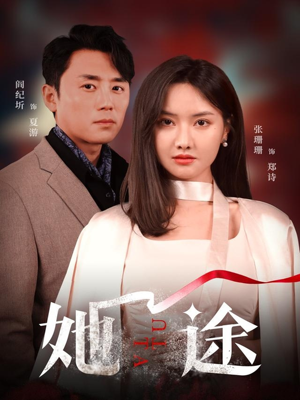 她途（48集）好看的短剧推荐