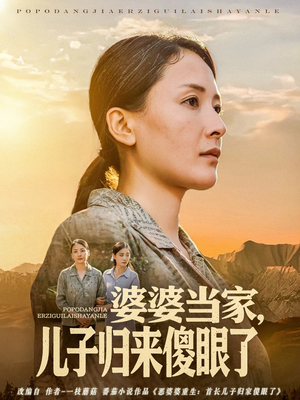婆婆当家儿子归来傻眼了（80集）男主角是谁