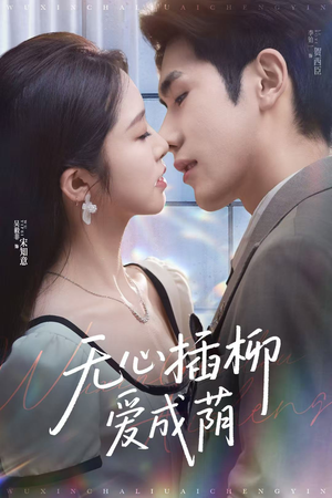 无心插柳爱成荫（80集）热播短剧重燃
