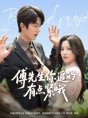 傅先生你追的有点紧哦（95集）免费在线看全集
