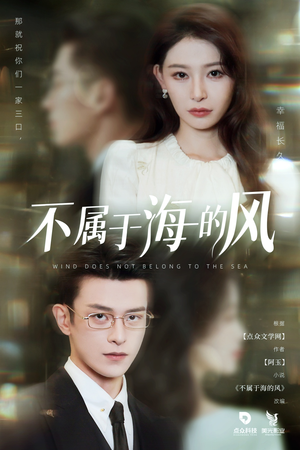 不属于海的风（40集）百万短剧抢先看