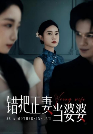 错把正妻当婆婆（46集）女主谁演的