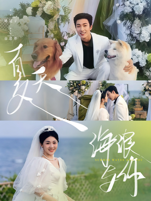 夏天，海浪与你（76集）剧情简介