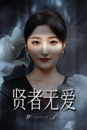 贤者无爱（42集）全集都在这里了
