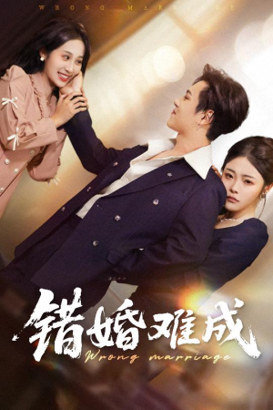 错婚难成（45集）好看吗