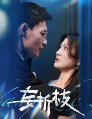 妄折枝（53集）一个短剧看全集