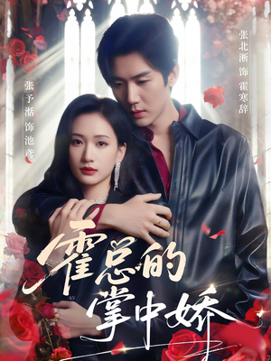 霍总的掌中娇（80集）短剧免费观看