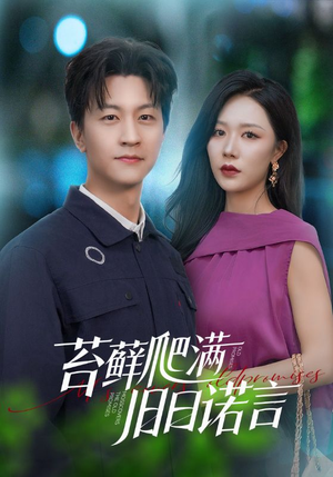 苔藓爬满旧日诺言（83集）全集完整版