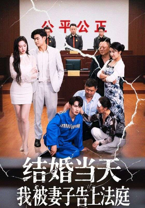 结婚当天我被妻子告上法庭（30集）全集完整版