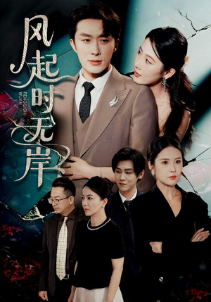 风起时无岸（58集）短剧小说在线看