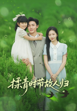 揉青时节故人归（60集）在哪个平台看