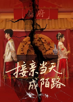 接亲当天成陌路（50集）无需会员免费看