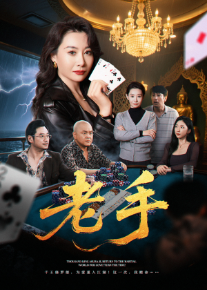 老手（36集）短剧免费分享