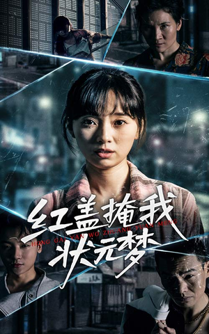 红盖掩我状元梦（44集）演的怎么样