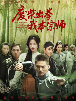 废柴出拳我本宗师（61集）全部免费看全集