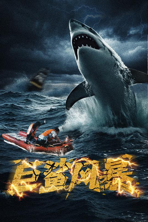 巨鲨风暴（59集）热门短剧看不停