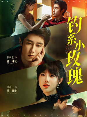 钓系小玫瑰（82集）评价怎么样