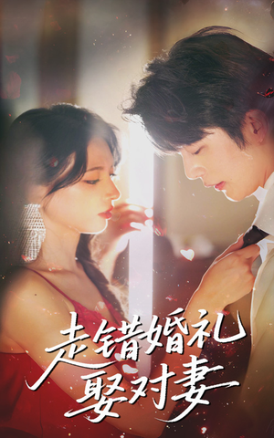 走错婚礼娶对妻（60集火爆短剧抢先看