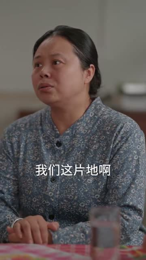 律师不好惹（60集）热门短剧来袭