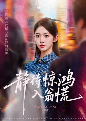 静待惊鸿入翁慌（40集）集免费看短剧