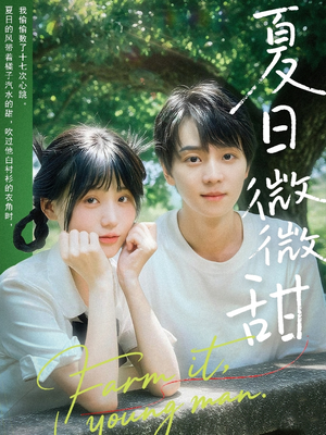 夏日微微甜（79集）精彩短剧看全集