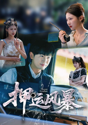 押运风暴（56集）高清画质免费看