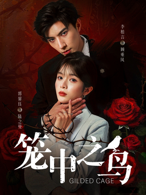 笼中之鸟（70集）无需充值尽情看