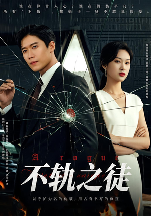 不轨之徒（72集）免费观看