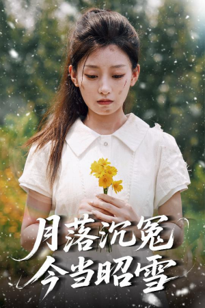 月落沉冤今当昭雪（60集）精彩短剧后续