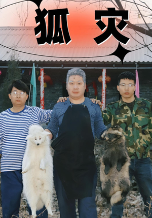 狐灾（25集）火爆热门短剧