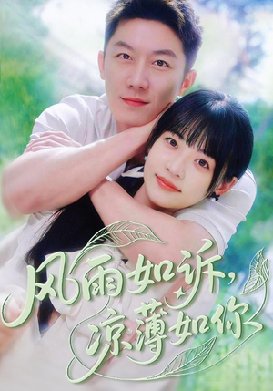 风雨如诉凉薄如你（70集）短剧后续更精彩