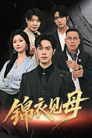 锦衣见母（60集）高清画质免费看