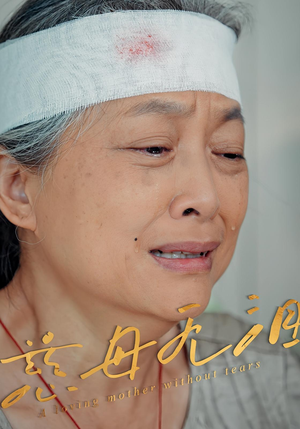 慈母无泪（30集）短剧更新抢先看