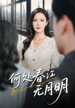 何处春江无月明（70集）迅雷网盘观看