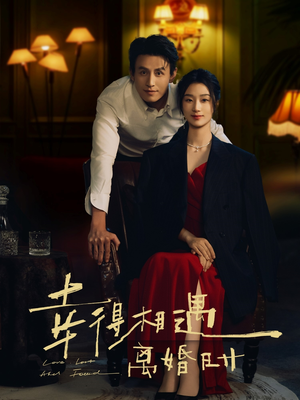 幸得相遇离婚时（81集）热门短剧追不停
