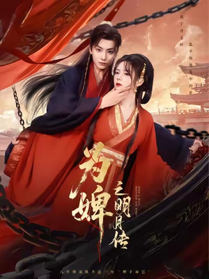 为婢女明月传（90集）精彩好看的短剧
