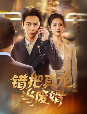 错把真龙当废婿（60集）大结局一气呵成