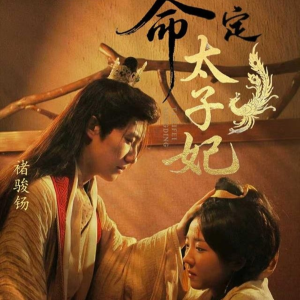 命定太子妃（63集）全剧免费观看