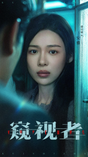 窥视者（50集）全集