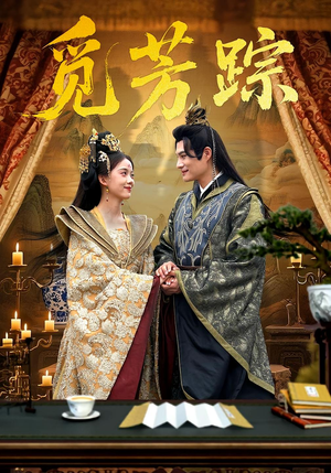 觅芳踪（91集）红果短剧看全集