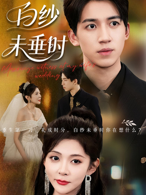 老婆婚礼，我当证婚人&老婆婚礼我当证婚人&白纱未垂时（54集）解说文案