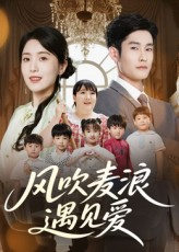 风吹麦浪遇见爱（70集）经典老剧免费看