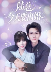 陆总今天要离婚（81集）短剧推荐分享
