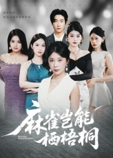 麻雀岂能栖梧桐（31集）女主谁演的
