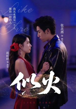 似火（80集）在哪看免费