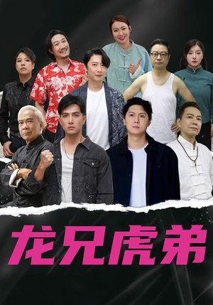 龙兄虎弟中文版（60集）1-102集